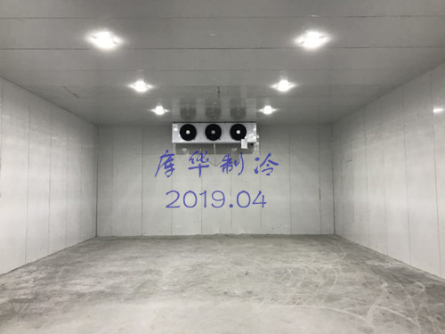 食品冷庫內景實(shí)拍